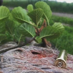 Bewertungsbild zu der Überschrift Augenblickswirkung