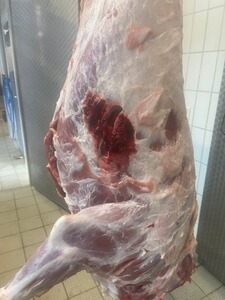 Bewertungsbild zu der Überschrift Sehr gute Präsentation und super Wirkung!