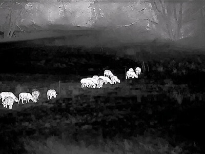 Bewertungsbild zu der Überschrift Bewertung eines Gerätes nach Test