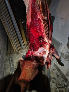 Bewertungsbild zu der Überschrift Änderungen?