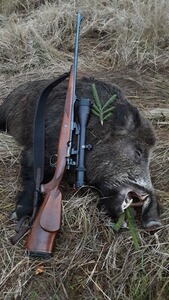 Bewertungsbild zu der Überschrift Überragendes Preis-Leistungs Verhältnis!