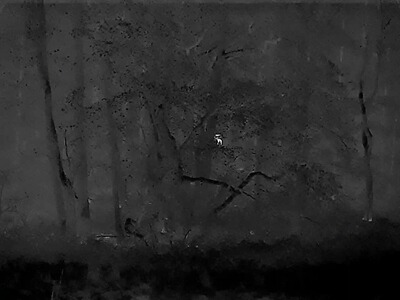 Bewertungsbild zu der Überschrift Bewertung eines Gerätes nach Test