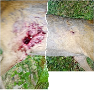 Bewertungsbild zu der Überschrift Sehr gut