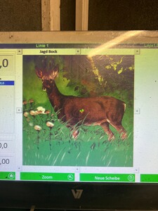 Bewertungsbild zu der Überschrift Nicht aus Steyr SM12