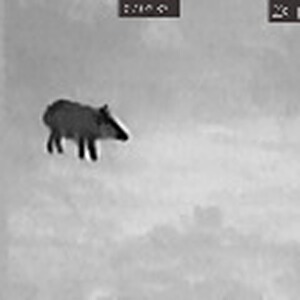 Bewertungsbild zu der Überschrift Gutes Preis-/Leistungsverhältnis