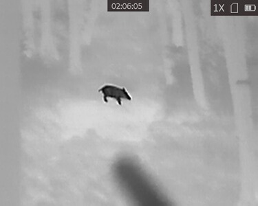 Bewertungsbild zu der Überschrift Gutes Preis-/Leistungsverhältnis