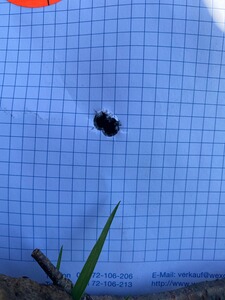 Bewertungsbild zu der Überschrift Beste Wahl zum fairen Preis!!!