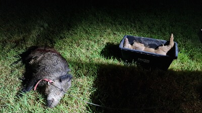 Bewertungsbild zu der Überschrift Tip top das Zeug