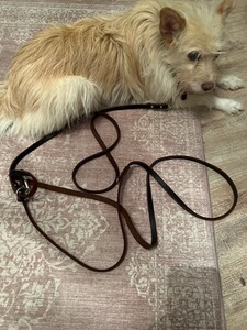 Bewertungsbild zu der Überschrift Qualität top