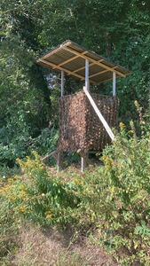 Bewertungsbild zu der Überschrift Guter Tarneffekt