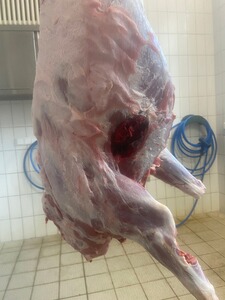 Bewertungsbild zu der Überschrift Sehr gute Präsentation und super Wirkung!