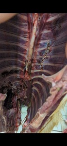 Bewertungsbild zu der Überschrift Präzision Top - Wirkung Flopp!