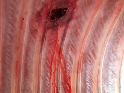 Bewertungsbild zu der Überschrift Augenblickswirkung