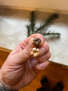 Bewertungsbild zu der Überschrift Gute Patrone