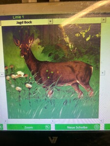 Bewertungsbild zu der Überschrift Nicht aus Steyr SM12