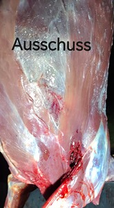 Bewertungsbild zu der Überschrift Super geeignet für Bergara BA13 16,5 Zoll