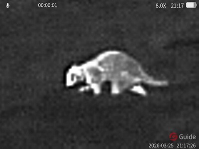 Bewertungsbild zu der Überschrift Preis Leistung passt