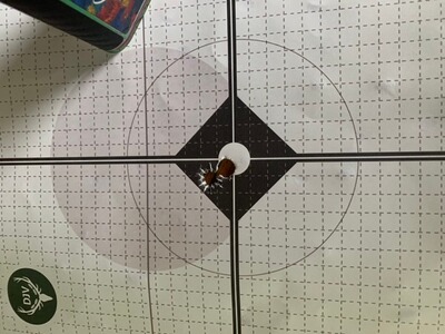 Bewertungsbild zu der Überschrift Klasse Patrone