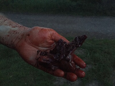 Bewertungsbild zu der Überschrift Augenblickswirkung