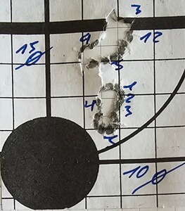 Bewertungsbild zu der Überschrift Sehr gutes Jagdgeschoss