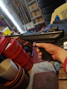 Bewertungsbild zu der Überschrift Alles paletti