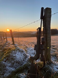 Bewertungsbild zu der Überschrift Bis heute einfach nur zu hundert Prozent zufrieden .