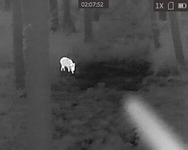 Bewertungsbild zu der Überschrift Gutes Preis-/Leistungsverhältnis