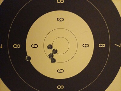 Bewertungsbild zu der Überschrift Sehr gut mit 44 S&W