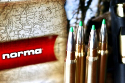 Bewertungsbild zu der Überschrift Nach drei Jahren sehr zufrieden!