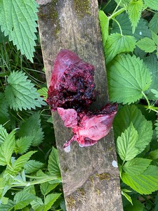 Bewertungsbild zu der Überschrift Hohe Entwertung