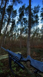 Bewertungsbild zu der Überschrift Wunderbares Jagdgewehr