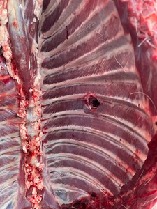 Bewertungsbild zu der Überschrift Präzise und wirkungsvoll