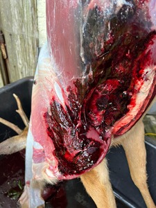 Bewertungsbild zu der Überschrift Hohe Entwertung