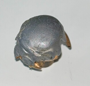 Bewertungsbild zu der Überschrift Meine Munition für die Jagd und zum Training