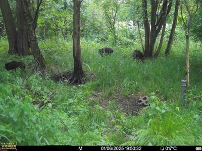 Bewertungsbild zu der Überschrift Preisleisleistung/Unzufrieden