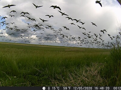Bewertungsbild zu der Überschrift Absolut super Gerät