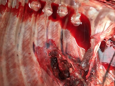 Bewertungsbild zu der Überschrift Augenblickswirkung